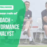performance analyst role